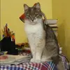 Отзыв от Тамара Нечаева
